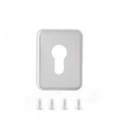 Накладка декоративная Avers DP-15.mini-C-CR
