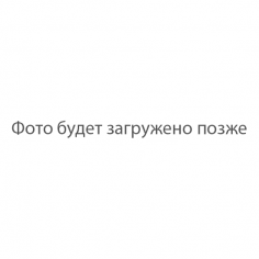 Ручка дверная HIDE VOLUME R6 OTL раздельная на круглой розетке,  цвет - золото